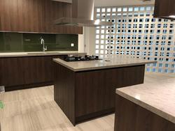 The Arcadia (D11), Condominium #174480282
